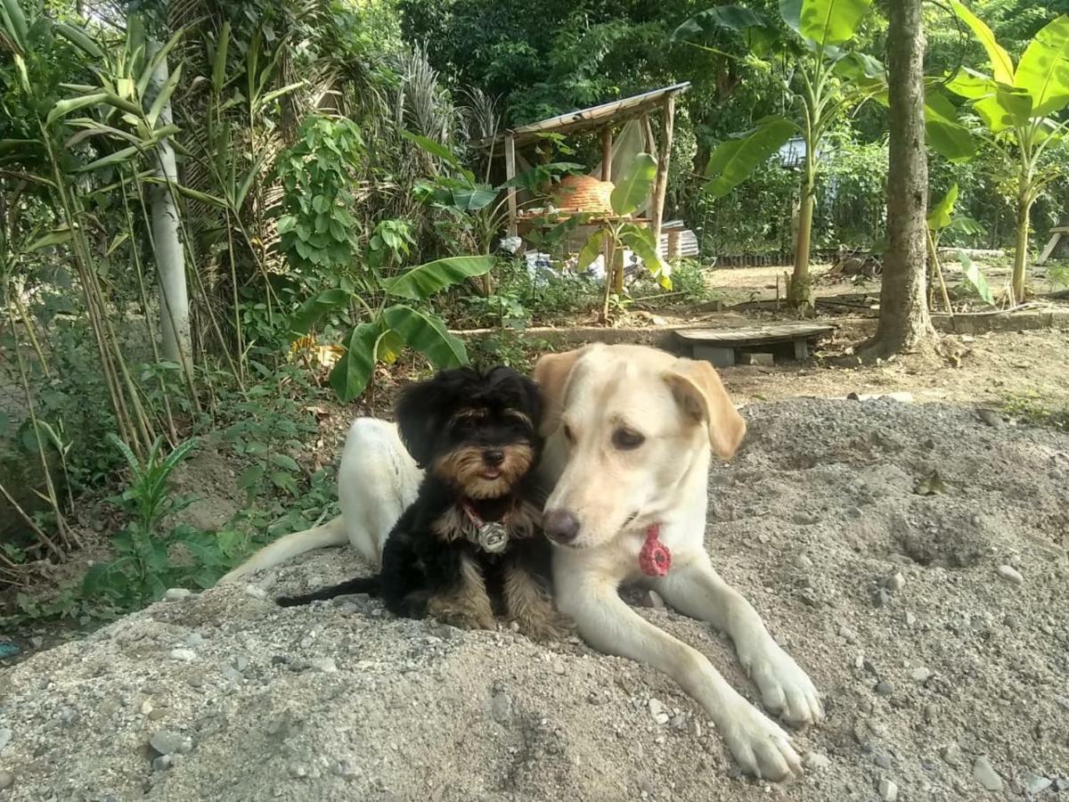 Pensión La Percha *